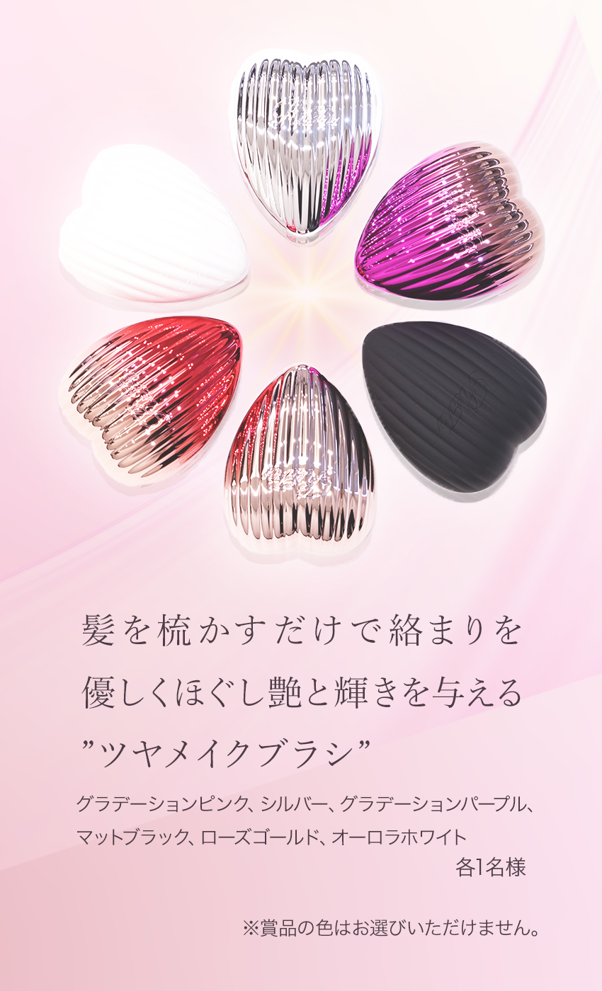 ハートブラシレイイメージ